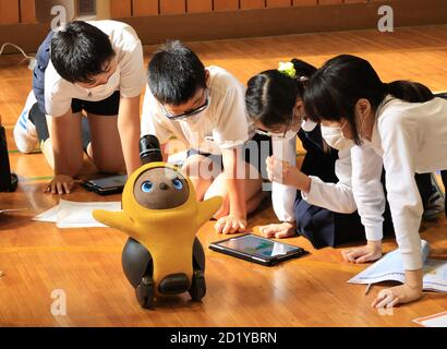 Tokyo, Japon. 6 octobre 2020. Les enfants de sixième année de l'école élémentaire Ouji-daini apprennent la programmation pour faire fonctionner un robot de communication LOVOT, développé par Groove X en utilisant une tablette à leur école à Tokyo le mardi 6 octobre 2020. Le Japon a commencé des cours de programmation informatique dans les écoles primaires compulsorly à partir de cette année pour construire les bases de la technologie de l'information. Credit: Yoshio Tsunoda/AFLO/Alay Live News Banque D'Images