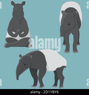 Tapir dans diverses poses. Animal inhabituel dans un style de dessin animé. Illustration de Vecteur