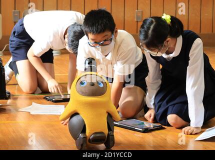 Tokyo, Japon. 6 octobre 2020. Les enfants de sixième année de l'école élémentaire Ouji-daini apprennent la programmation pour faire fonctionner un robot de communication LOVOT, développé par Groove X en utilisant une tablette à leur école à Tokyo le mardi 6 octobre 2020. Le Japon a commencé des cours de programmation informatique dans les écoles primaires compulsorly à partir de cette année pour construire les bases de la technologie de l'information. Credit: Yoshio Tsunoda/AFLO/Alay Live News Banque D'Images