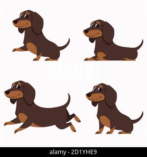 Dachshund dans différentes poses. Ensemble de jolis animaux de compagnie de style dessin animé. Illustration de Vecteur