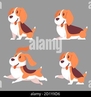 Ensemble vectoriel de chiens Beagle dans différentes poses. Animaux de compagnie de style dessin animé. Illustration de Vecteur