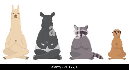 Animaux faisant du yoga. Llama, tapir, raton laveur et meerkat dans un style de dessin animé. Illustration de Vecteur