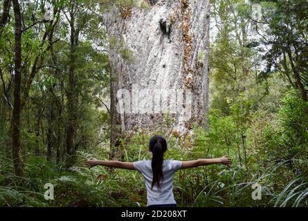 Northland, Nouvelle-Zélande. 6 octobre 2020. Un touriste voit un kauri à la forêt de Waipoua dans Northland, Nouvelle-Zélande, 6 octobre 2020. Waipoua, et les forêts voisines, constituent la plus grande étendue restante de forêt indigène du Nord ainsi que la maison des arbres kauri. Credit: Guo Lei/Xinhua/Alay Live News Banque D'Images