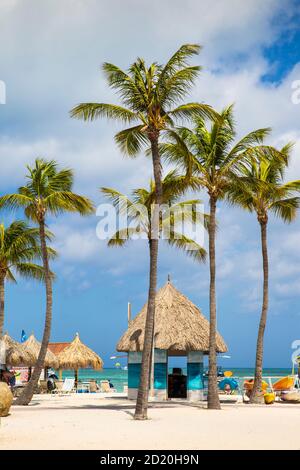 Caraïbes, Antilles néerlandaises, Aruba, palm beach Banque D'Images