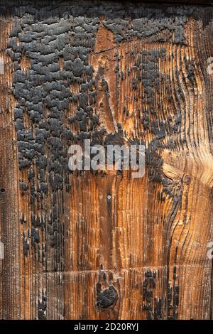 Grain de bois sur le bâtiment, Naoshima, Japon Banque D'Images