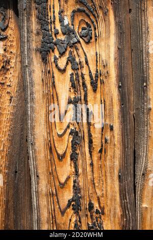 Grain de bois sur le bâtiment, Naoshima, Japon Banque D'Images