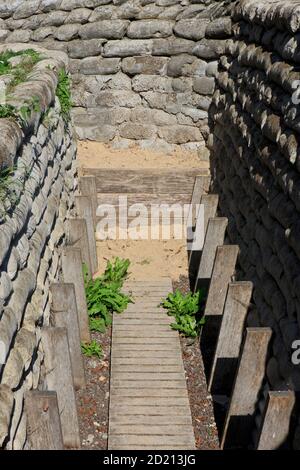 Le Yorkshire Trench et a creusé à Boezinge (Ypres), Belgique Banque D'Images