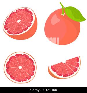 Pamplemousse entier et en tranches. Vecteur défini dans le style de dessin animé isolé sur fond blanc. Illustration de Vecteur
