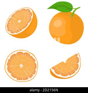 Orange entier et tranché. Vecteur défini dans le style de dessin animé isolé sur fond blanc. Illustration de Vecteur