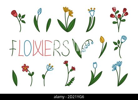 Ensemble de fleurs diverses. Illustration vectorielle de style dessin animé plat Illustration de Vecteur