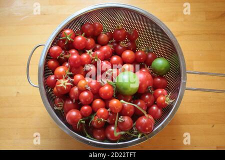 Gros plan de tomates, fruits frais mûrs juteux récoltés dans le jardin biologique de campagne, maison cultivée en été pour la salade végétalienne dans la passoire Banque D'Images