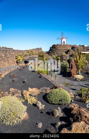 Jardin de cactus, Lanzarote, îles Canaries, Espagne Banque D'Images