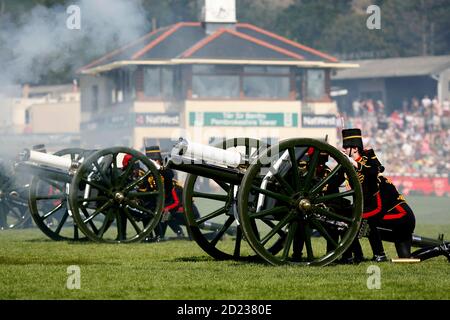 Royal Welsh Show Llanelwedd, 24 juillet 2014. La troupe de Kings Royal Horse Artillery divertit les foules dans le ring principal à l'exposition près de Builth We Banque D'Images