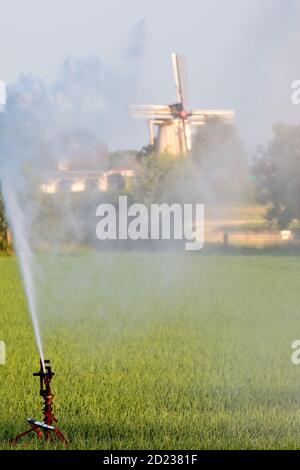 Système de gicleurs d'eau irriguant les terres avec un moulin à vent néerlandais l'arrière-plan Banque D'Images
