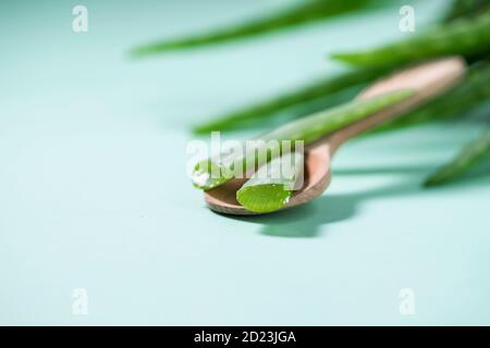 Feuille d'aloevera en tranches. Concept de soins organiques de la peau. Sur fond blanc en bois. Banque D'Images