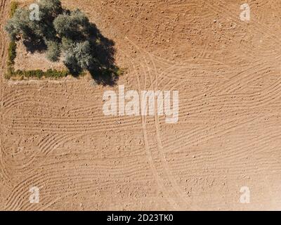 Traces de machines agricoles dans la vue aérienne du champ Banque D'Images