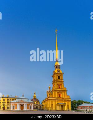 Cathédrale Saint-Pierre-et-Paul église orthodoxe avec flèche dorée dans la citadelle de la forteresse Pierre-et-Paul sur l'île de Lièvre de Zayachy, vue nocturne au crépuscule, ville de Saint-Pétersbourg Leningrad, Russie Banque D'Images
