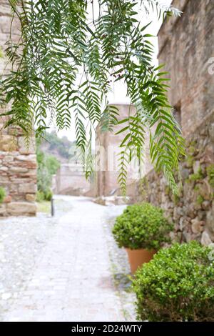 L'Alcazaba, une fortification palatiale située à Malaga, Espagne Banque D'Images