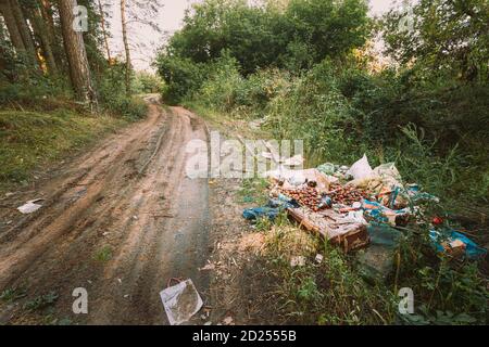 Pile de déchets laissés par les gens dans la forêt Banque D'Images