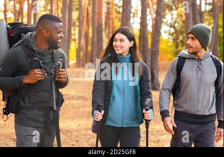 Groupe multiracial de randonneurs s'amusant tout en faisant du remballage en forêt Banque D'Images