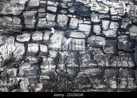 Texture du bois en feu dans les détails Banque D'Images