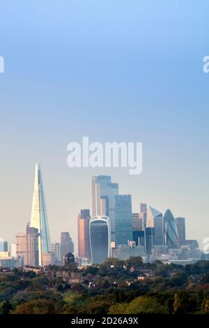 L'horizon du centre de Londres en été, vue sur les terres et les bois du parc Banque D'Images