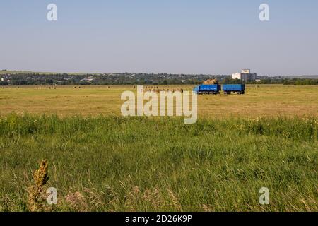 Région de Nijni Novgorod, Russie - 8 juillet 2020 : camion bleu avec une remorque transportant des rouleaux de foin, fabrication de foin en automne. Paysage rural, champ de forag Banque D'Images