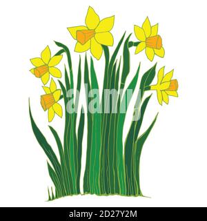 Collection de fleurs des narcisses Illustration de Vecteur