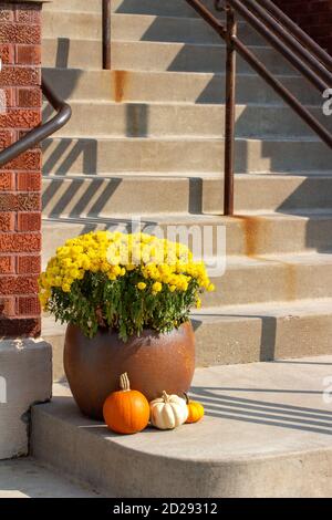 Décoration extérieure chic avec plantes en pot ensoleillées sur le thème de l'automne, touches de citrouille colorées et ombres en zigzag Banque D'Images