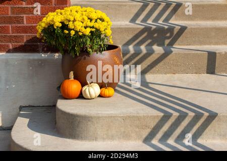 Décoration extérieure chic avec plantes en pot ensoleillées sur le thème de l'automne, touches de citrouille colorées et ombres en zigzag Banque D'Images