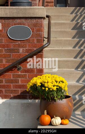 Décoration extérieure chic avec plantes en pot ensoleillées sur le thème de l'automne, touches de citrouille colorées et ombres en zigzag Banque D'Images