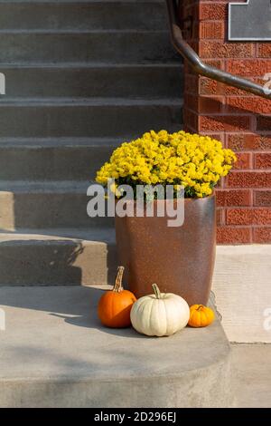 Décoration extérieure chic avec plantes en pot ensoleillées sur le thème de l'automne, touches de citrouille colorées et ombres en zigzag Banque D'Images