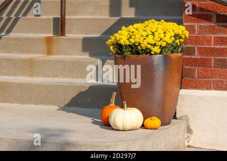 Décoration extérieure chic avec plantes en pot ensoleillées sur le thème de l'automne, touches de citrouille colorées et ombres en zigzag Banque D'Images