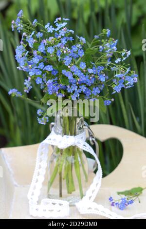 bouquet de creeping forget me pas fleurs dans vase en verre Banque D'Images