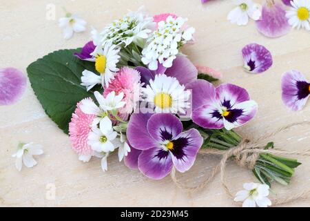 bouquet de fleurs de violons violets, de bellis perennis roses et de pâquerettes blanches Banque D'Images