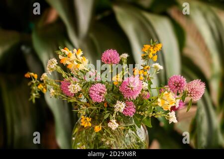 Bouquet de fleurs sauvages fraîches dans un vase en verre sur fond vert naturel de plantes. Banque D'Images