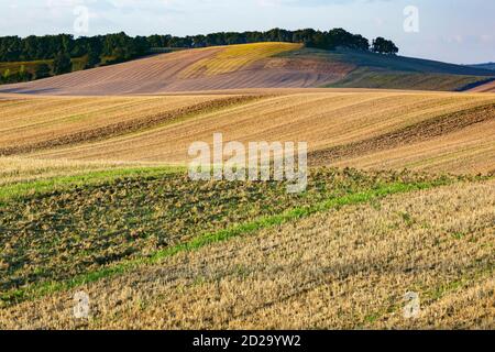 Un paysage agricole de collines douces qui sont typiques de la région de Gers dans le sud-ouest de la France. Banque D'Images