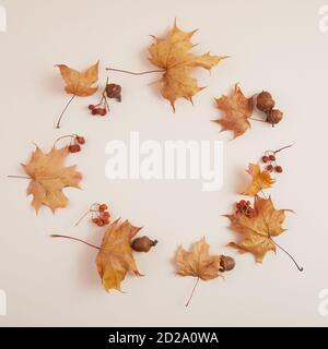 Composition d'automne. Cadre rond de feuilles séchées sur fond biège. Vue de dessus. Pose à plat. Banque D'Images