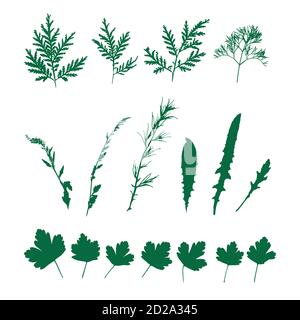 Mettez les herbes vertes, les plantes sauvages. Répétition isolée. Illustration de Vecteur