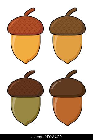 Ensemble de vecteur de dessin animé Acorn isolé sur blanc. Fruits en chêne avec icône de chapeau dans différentes couleurs. Illustration d'acorns de noix de chêne d'automne avec shel Illustration de Vecteur