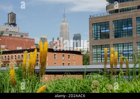 Vue depuis la High Line à New York. Photo par Liz Roll Banque D'Images