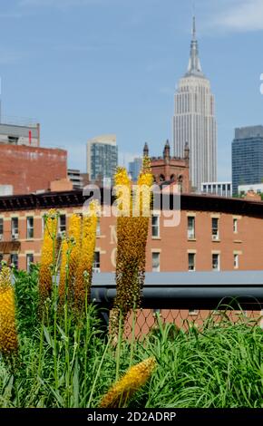 Vue depuis la High Line à New York. Photo par Liz Roll Banque D'Images