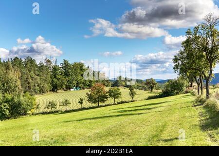 Paysage avec un pré mown en République tchèque. Paysage agricole. Jour d'automne ensoleillé dans la campagne. Prés et forêt. Banque D'Images