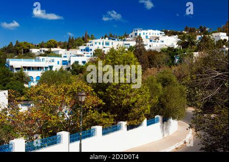 La vieille ville tunisienne Sidi Bou Said est aujourd'hui un quartier de luxe de la capitale Tunis. Sidi Bou Said est connu pour les couleurs bleu et blanc. Beaucoup de films célèbres nous Banque D'Images