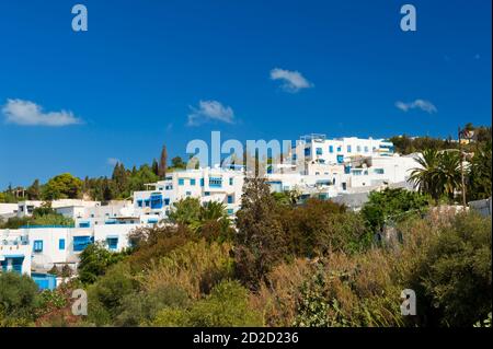 La vieille ville tunisienne Sidi Bou Said est aujourd'hui un quartier de luxe de la capitale Tunis. Sidi Bou Said est connu pour les couleurs bleu et blanc. Beaucoup de films célèbres nous Banque D'Images