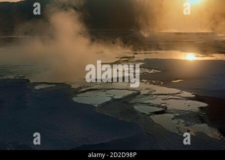 Mammoth Hot Springs au lever du soleil, le Parc National de Yellowstone, Wyoming, USA Banque D'Images