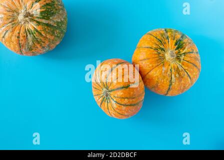 Trois belles citrouilles mûres sur fond bleu. Banque D'Images