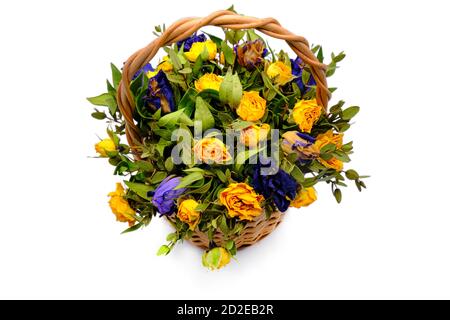 Bouquet de fleurs flétrissent sur fond blanc isolé. Roses jaunes et bleues sèches dans un panier en osier. Belles fleurs sauvages dans la compos créée Banque D'Images