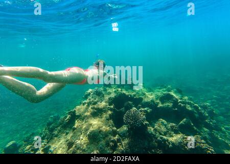 Femme snorkeling dans le bikini rouge dans le récif de corail des îles Surin, la mer d'Andaman, au nord de Phuket, Phang Nga en Thaïlande. Natation à Ko Surin Marine Banque D'Images