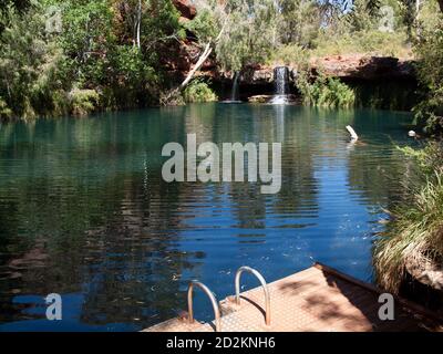 Fern Pool, Dales gorge, a une importance particulière pour le peuple Banyjima local du parc national Karijini, Australie occidentale Banque D'Images